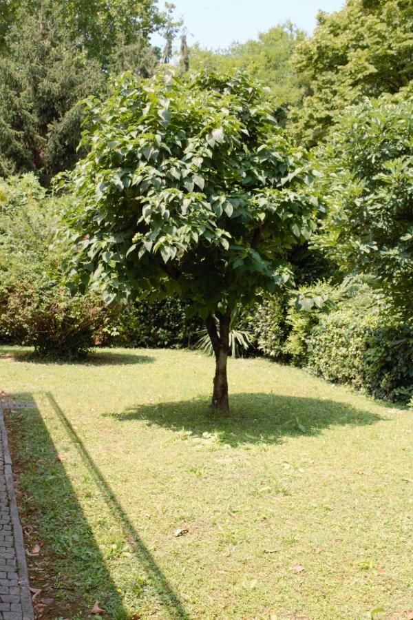 Appartamento Le Magnolie เมสเตร ภายนอก รูปภาพ